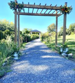 Philburn Flower Farm